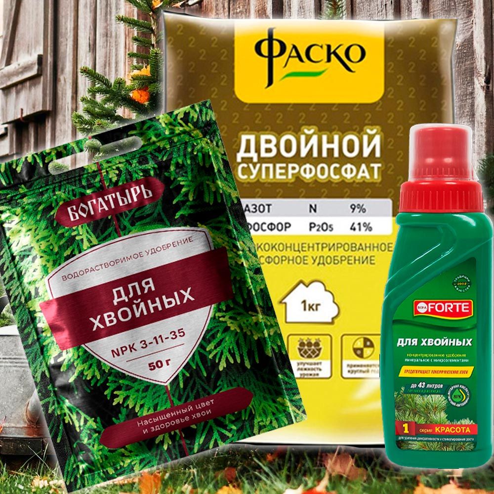 Удобрения для хвойных осенью